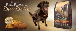Pro Plan Duo Delice Hundefutter Probepackung gratis @proplan-Dogs.com