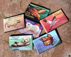Kondome mit Motiven von sechs gefährdeten Arten for free @Center for Biological Diversitys