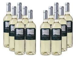 12 Flaschen mehrfach prämierter Bodegas Vinedos Contralto Sauvignon Blanc für 35€ inkl. Versand @Weinvorteil