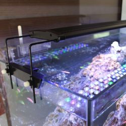 Amazon: Eco voll Spectrum LED Aquarium Beleuchtung mit Gutschein für nur 18 Euro statt 59,90 Euro