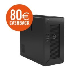 DELL PowerEdge T20 Minitower Server mit Xeon E3-1225V3 4GB/1TB, kein OS für 208€ inkl. 80€ Cashback [idealo 253,99€] @ebay