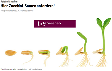 hr-fersehen – Zucchini-Samen gratis bestellen