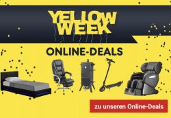 @netto: Yellow Week – heute z.B. Denver E-Scooter „Thor“ für 341,16€ [Idealo 369€]